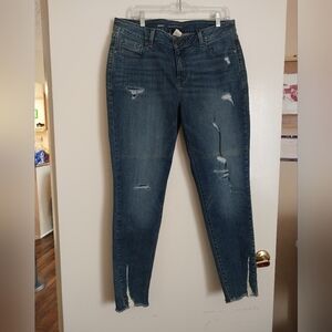 Lane Bryant skinny jeans